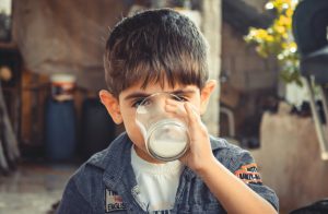 Vilken mjölk är bäst för barn?